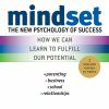 Mindset
